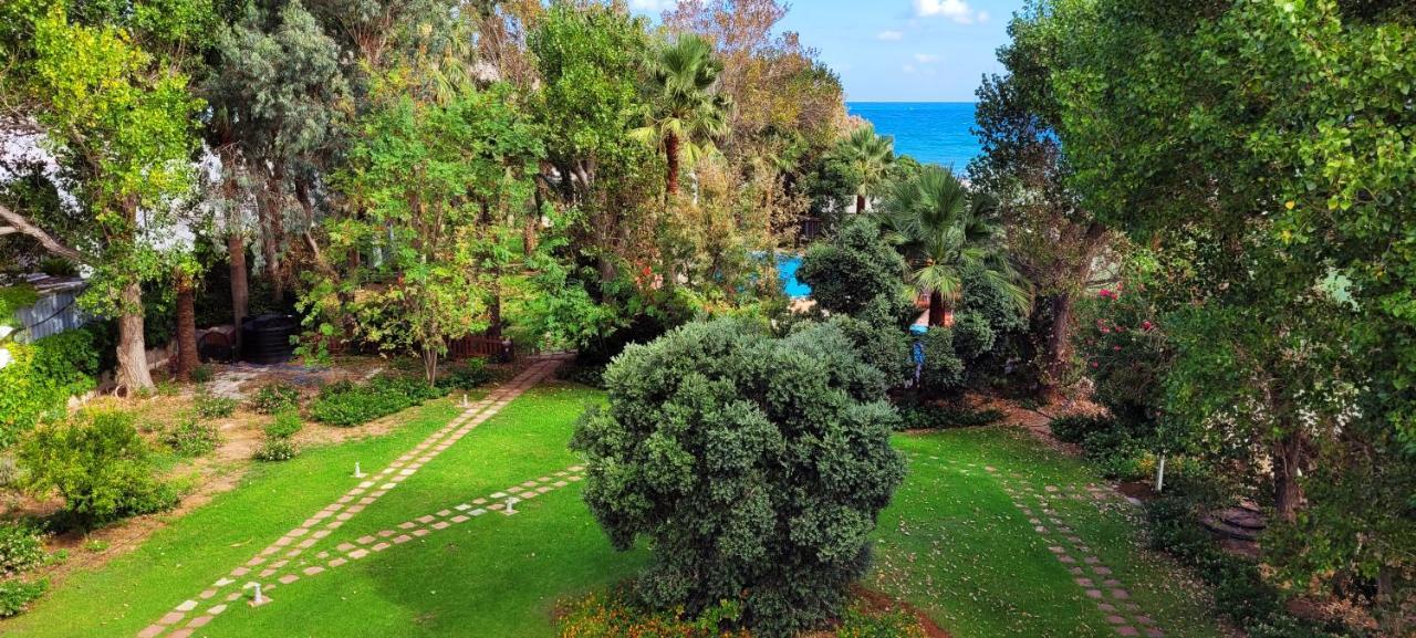 Marita'S Apartments Χανιά Εξωτερικό φωτογραφία