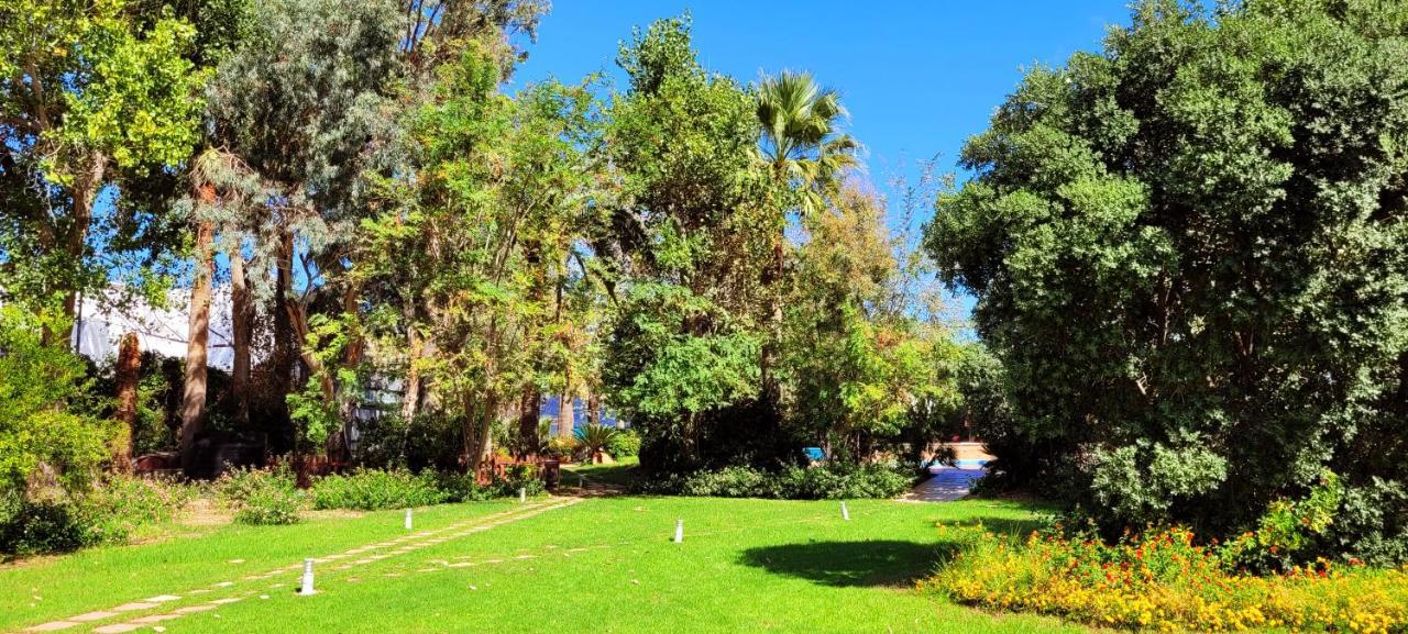 Marita'S Apartments Χανιά Εξωτερικό φωτογραφία